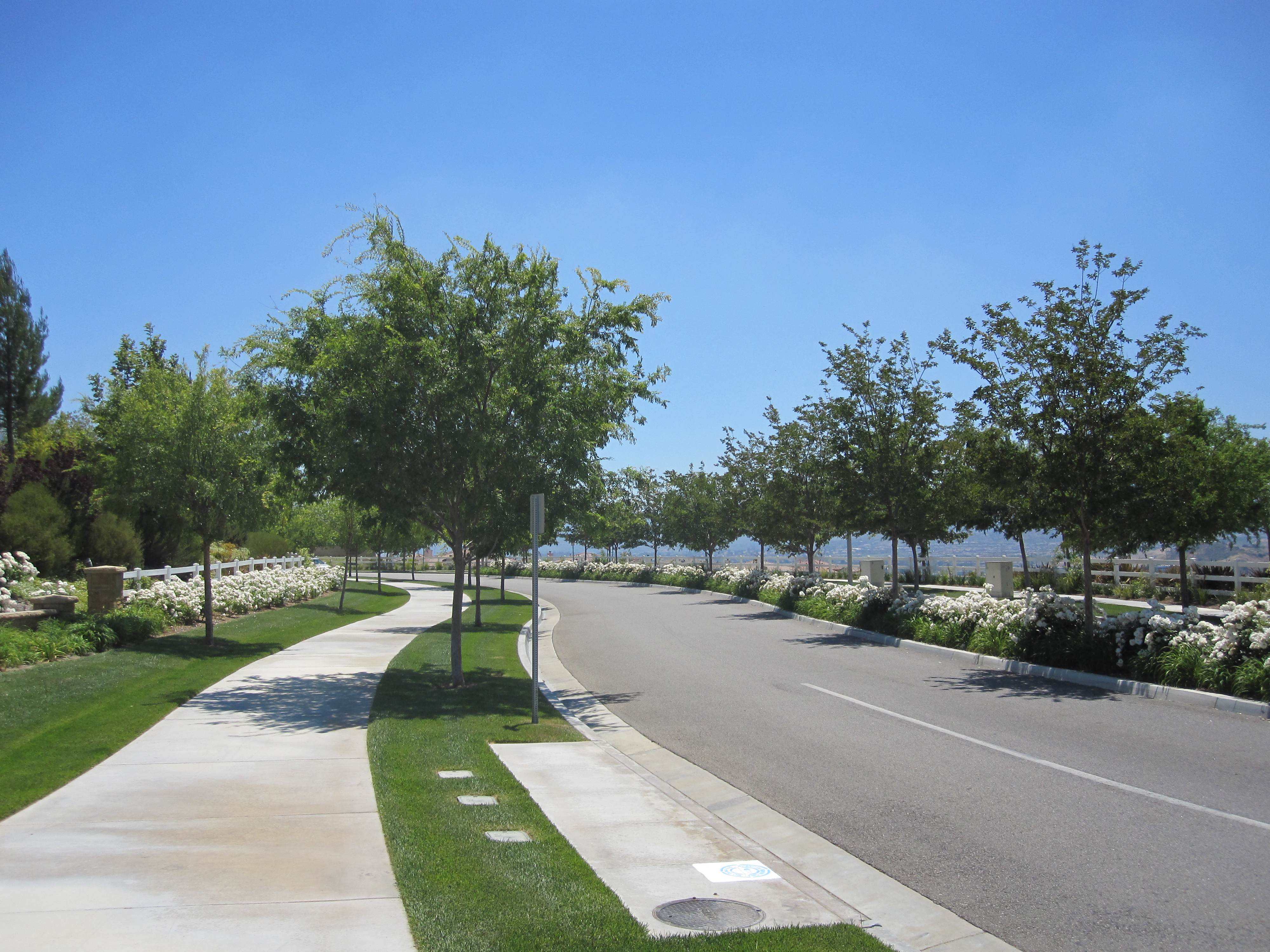 Stunning 3 Bedroom Home For Sale in Valencia! (Mariposa) Team House